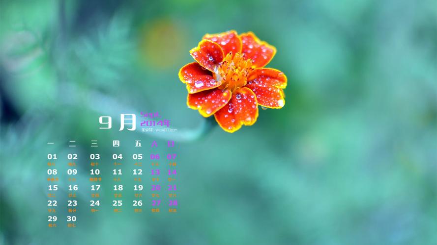 2014年9月日历清新唯美花卉图片宽屏电脑桌面主题壁纸图片(二)